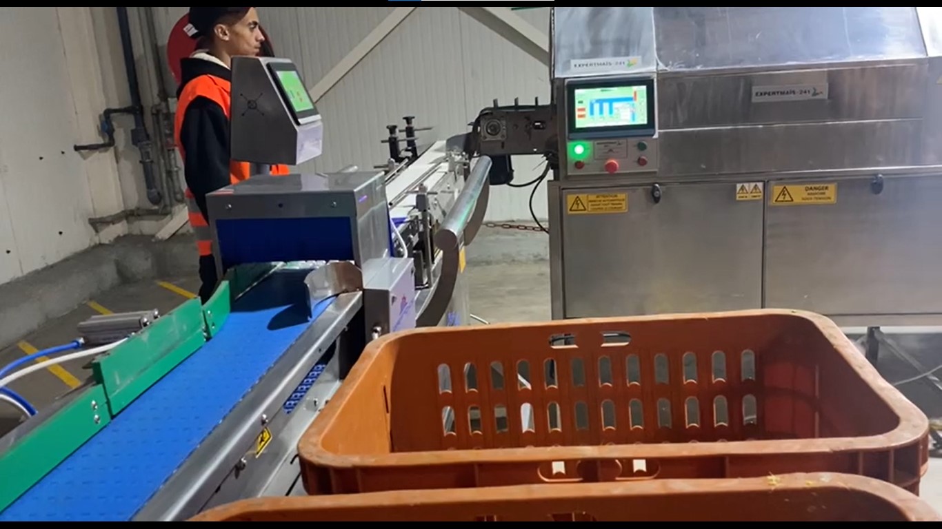 Vue latérale des convoyeurs de la machine de pesage industriel